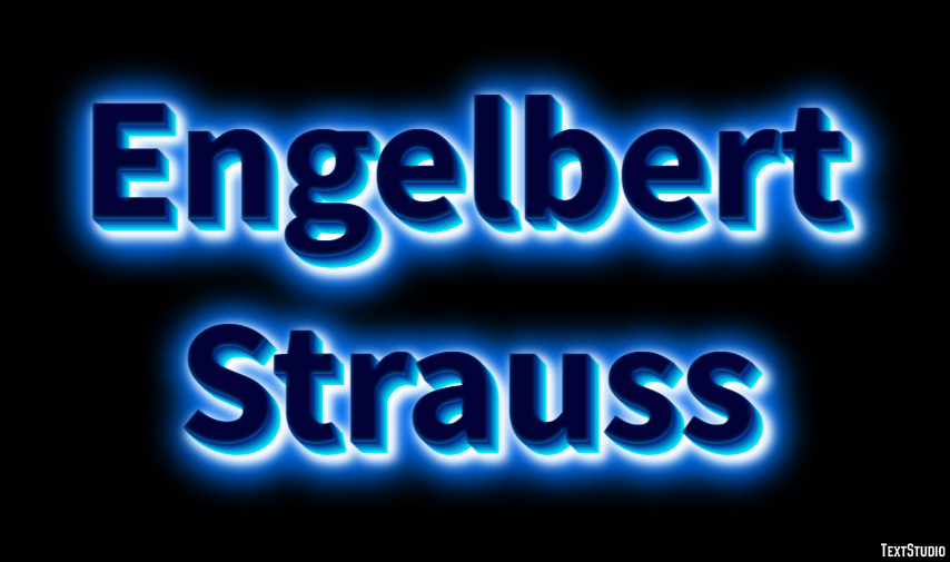 Engelbert Strauss Efecto de Texto