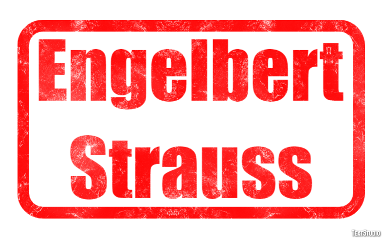 Engelbert Strauss Effet de Texte