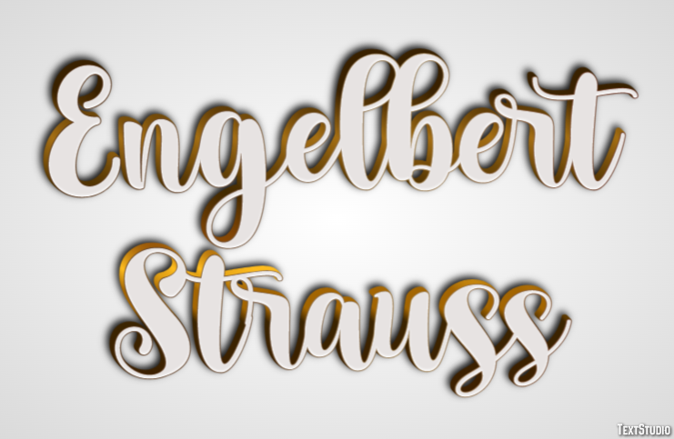 Engelbert Strauss Efecto de Texto