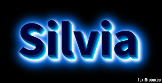 Silvia Effetto testo