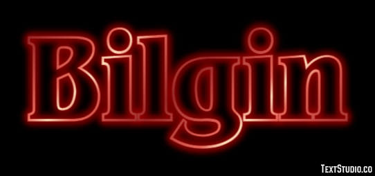 Bilgin Metin efekti