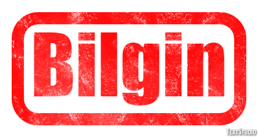 Bilgin Metin efekti
