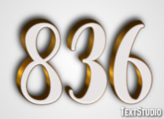 836 Tekst Effect