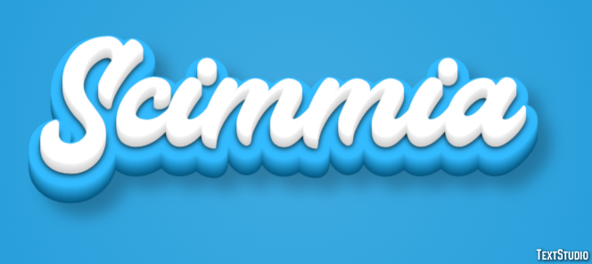 Scimmia Metin efekti
