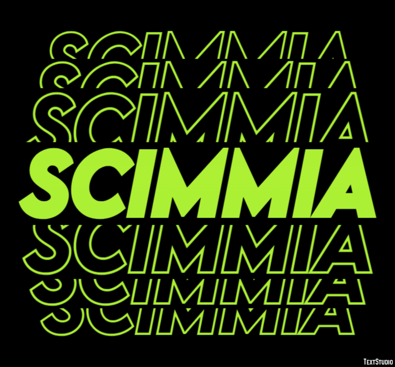 Scimmia Metin efekti