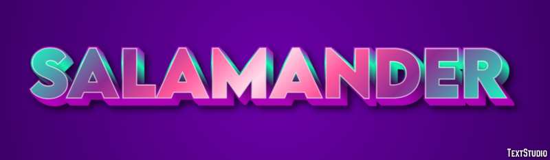 Salamander テキスト効果