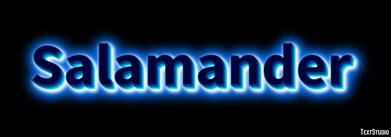 Salamander テキスト効果