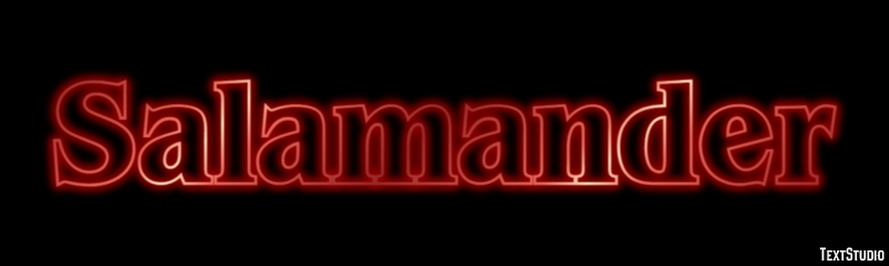 Salamander テキスト効果