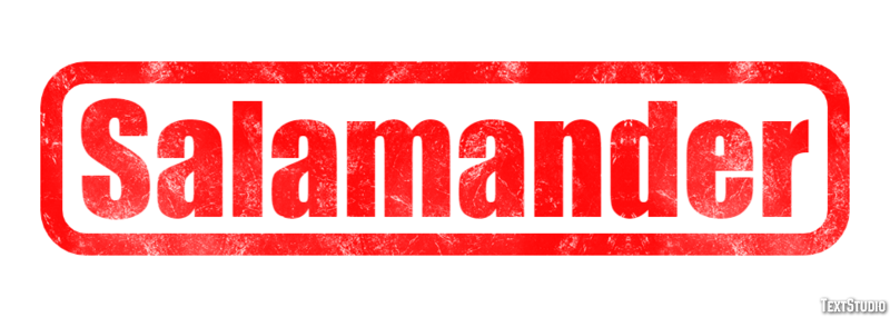 Salamander テキスト効果