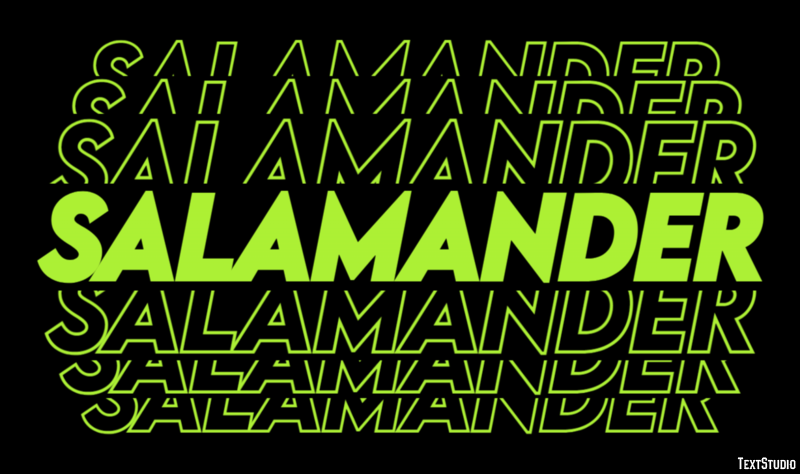 Salamander テキスト効果
