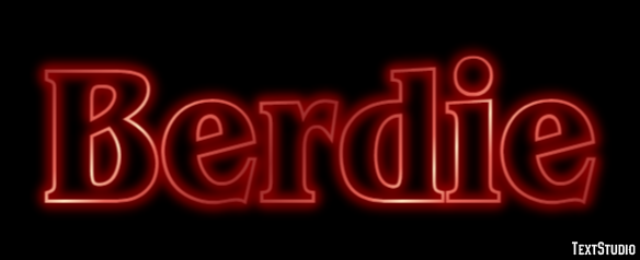 Berdie Tekst Effect