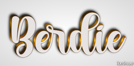 Berdie Text effect