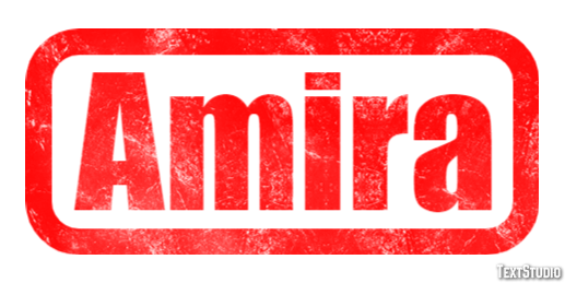 Amira テキスト効果