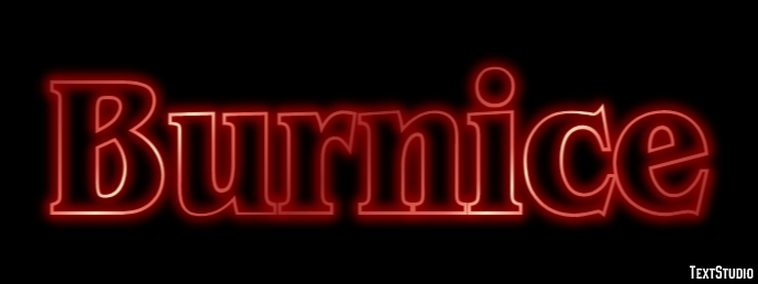 Burnice Effet de Texte