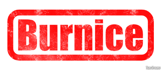Burnice Texteffekt