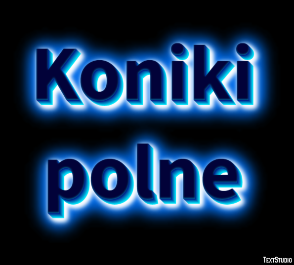 Koniki polne Efekt tekstowy