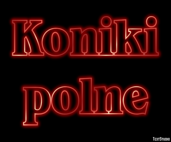 Koniki polne Efekt tekstowy