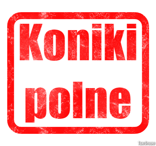 Koniki polne Efekt tekstowy