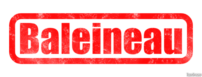 Baleineau Effet de Texte