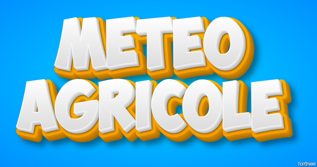 Meteo Agricole Efekt tekstowy