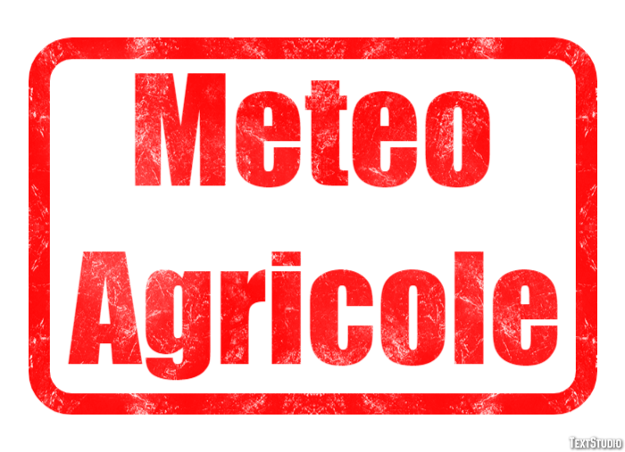 Meteo Agricole Efekt tekstowy