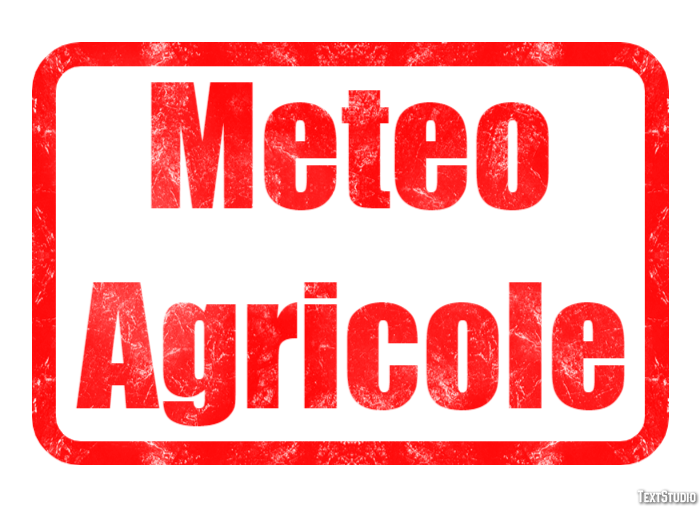 Meteo Agricole Efeito de texto