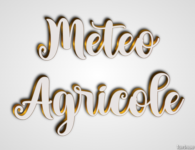 Meteo Agricole Efekt tekstowy