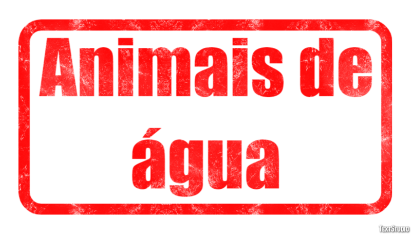 Animais de água Efeito do texto