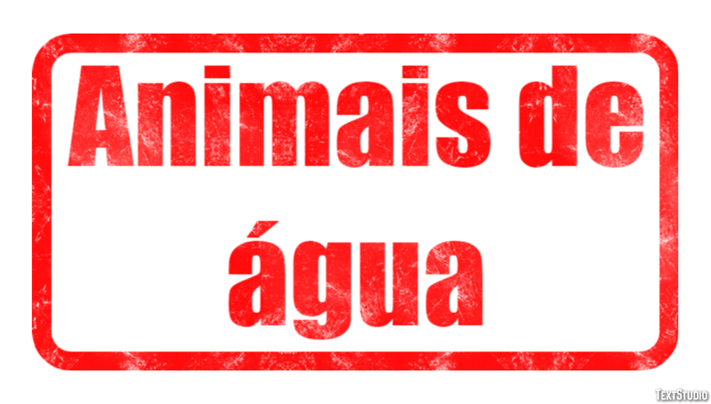 Animais de água Efeito de texto