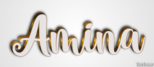 Amina Effet de Texte