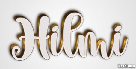 Hilmi Metin Efekti