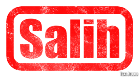 Salih Metin efekti