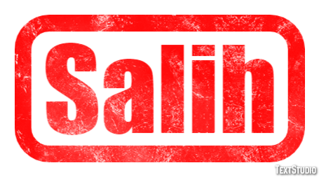 Salih Metin Efekti