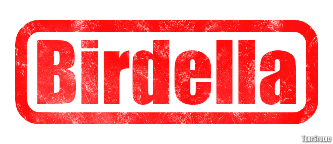 Birdella Text effect