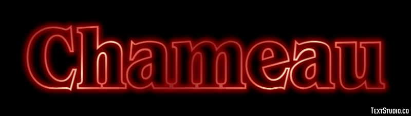 Chameau Effet de Texte