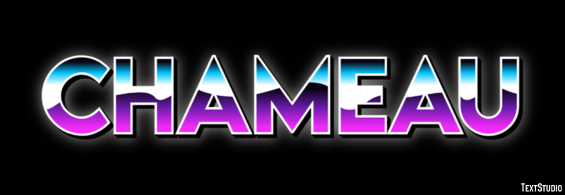 Chameau Effet de Texte