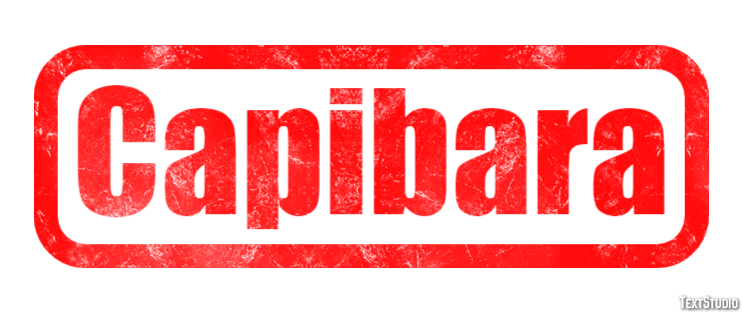 Capibara Effetto testo