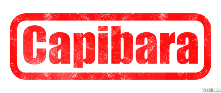Capibara Effetto testo