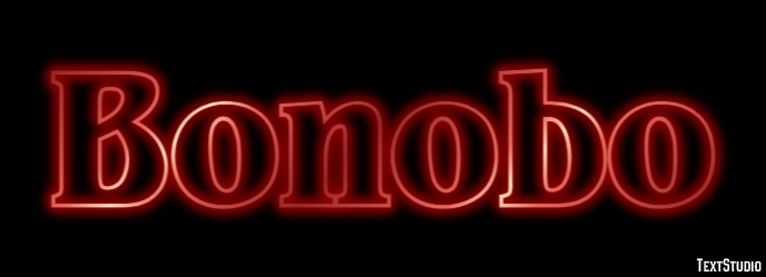 Bonobo Texteffekt