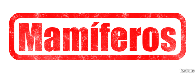 Mamíferos Efekt tekstowy