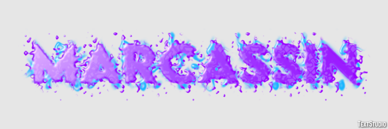 Marcassin Effet de Texte