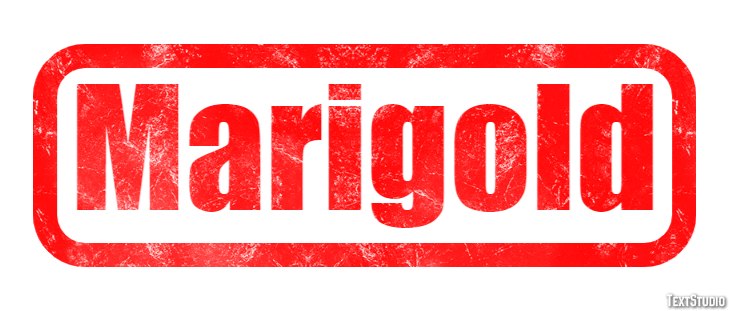 Marigold Efekt tekstowy