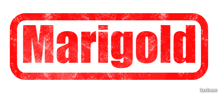 Marigold Texteffekt