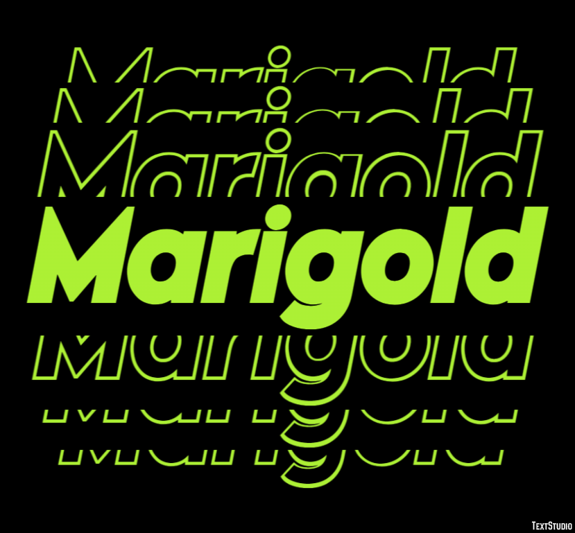 Marigold Efekt tekstowy