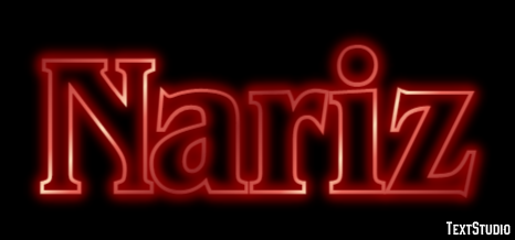Nariz Text Effect