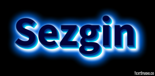 Sezgin Effet de Texte