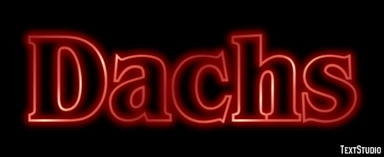 Dachs Texteffekt