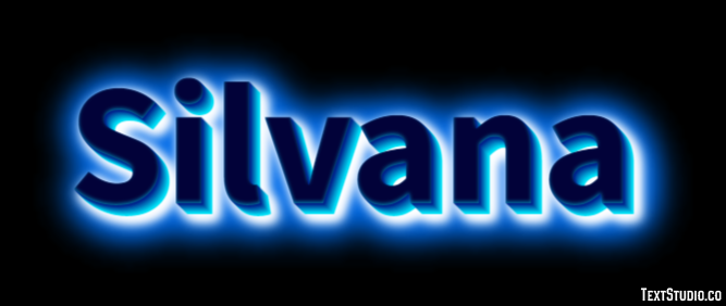 Silvana Effet de Texte