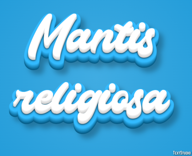 Mantis religiosa Effetto testo