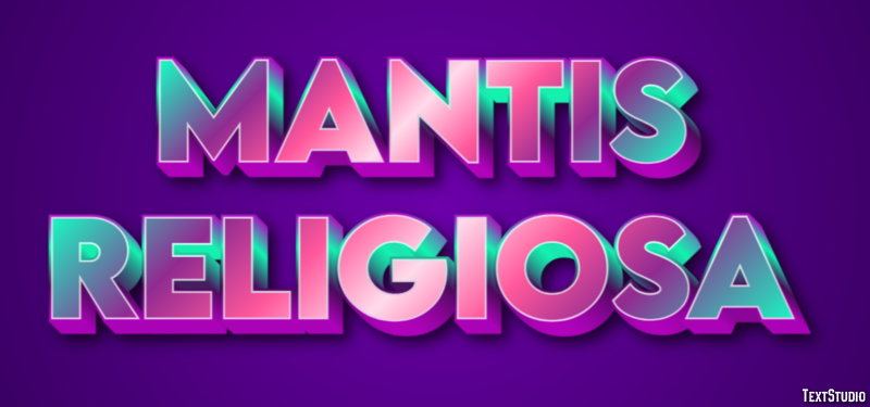 Mantis religiosa Efecto de texto